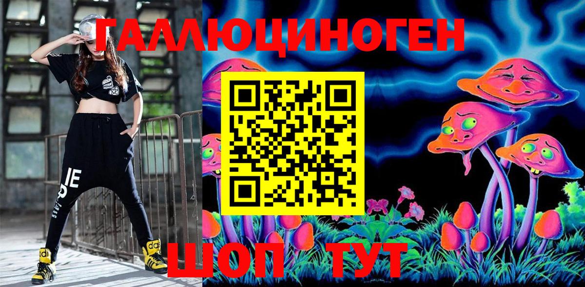 Псилоцибиновые грибы Psilocybine cubensis Кувандык
